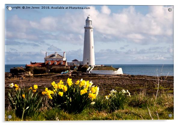 St Mary's Island in Springtime Acrylic by Jim Jones