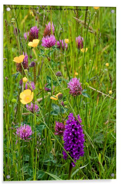 English Wild Flower Meadow Acrylic by Jim Jones