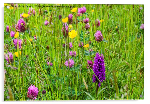 English Flower Meadow Acrylic by Jim Jones