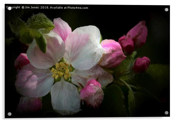 Artistic Apple Blossom Acrylic by Jim Jones