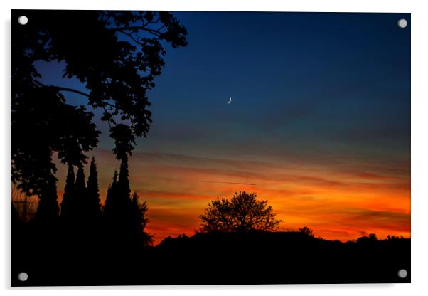 Sunset Crescent Moon & Venus Acrylic by Victoria Bowie