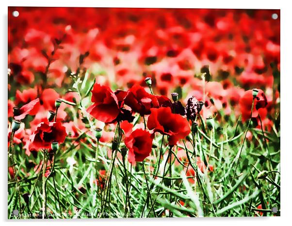 Poppies Acrylic by Kim Slater