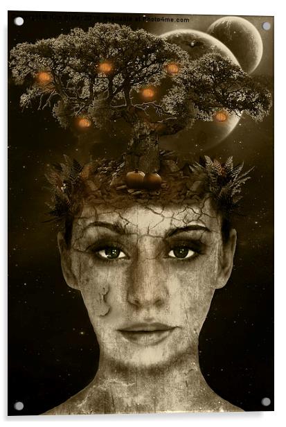 Pumpkin Tree Acrylic by Kim Slater