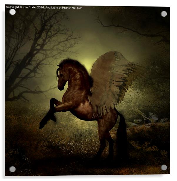  The Winged Horse Acrylic by Kim Slater