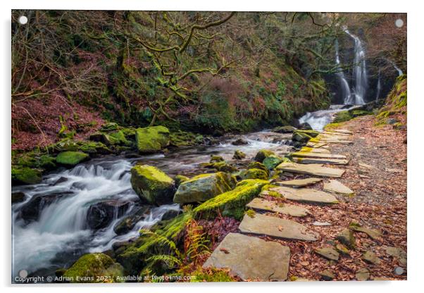 Llanberis Falls Wales Acrylic by Adrian Evans