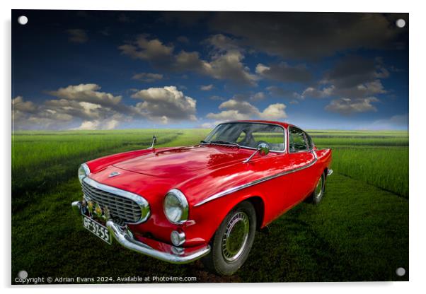 Classic Sports Car  Acrylic by Adrian Evans