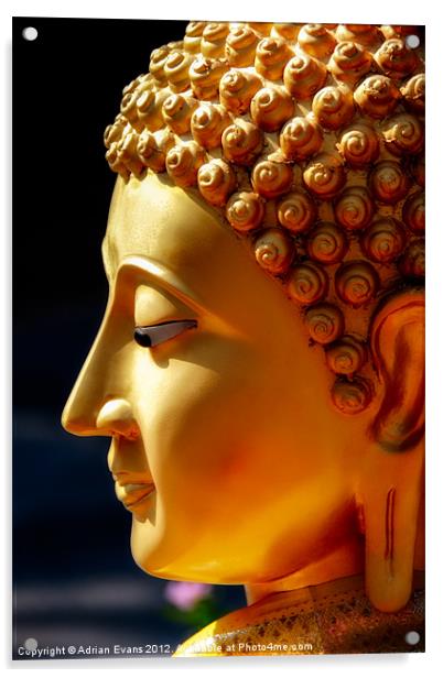 Buddha Acrylic by Adrian Evans