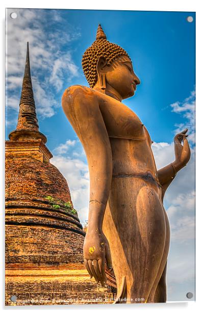 Buddha Statue Acrylic by Adrian Evans