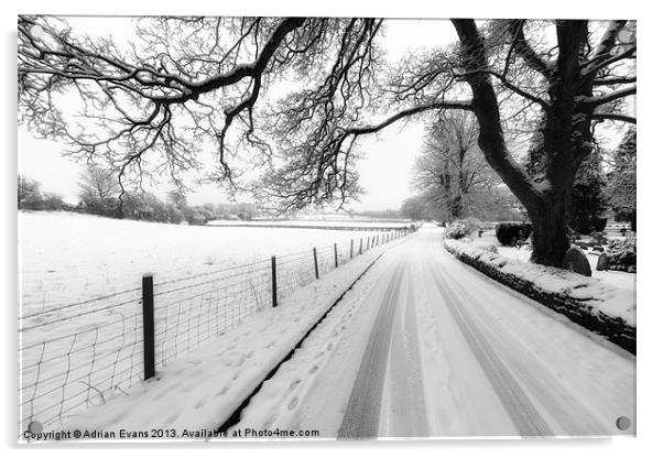 Snowy Lane Acrylic by Adrian Evans