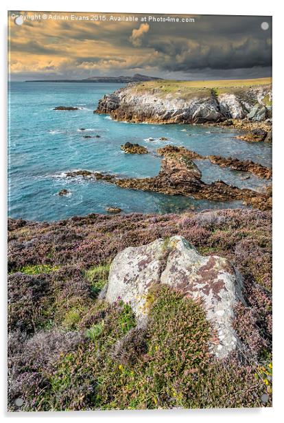 Rhoscolyn Head Anglesey Acrylic by Adrian Evans