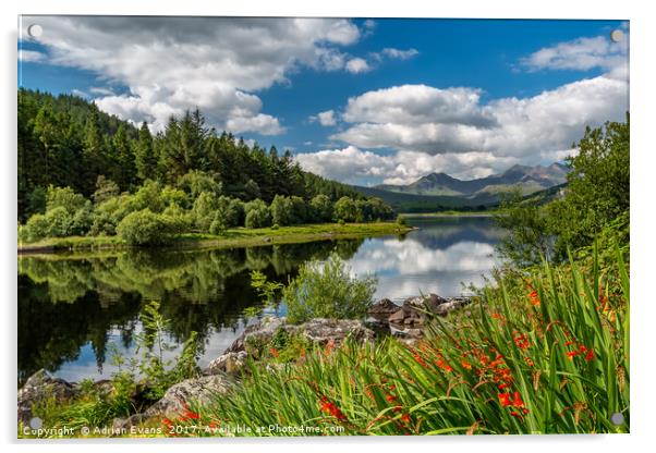 Snowdonia Lake Wales Acrylic by Adrian Evans