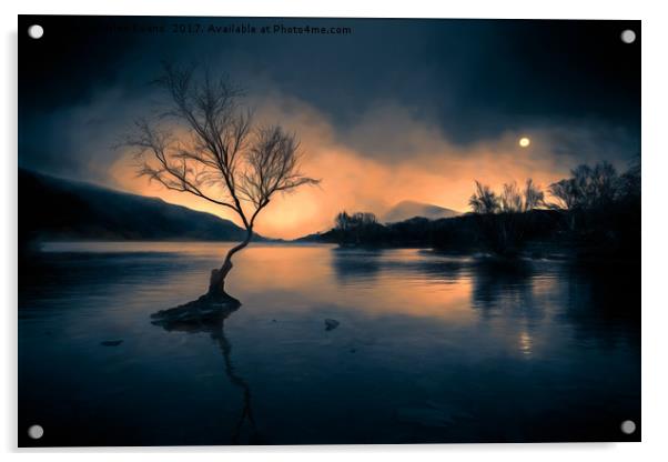 Lone Tree Llanberis Snowdonia Acrylic by Adrian Evans