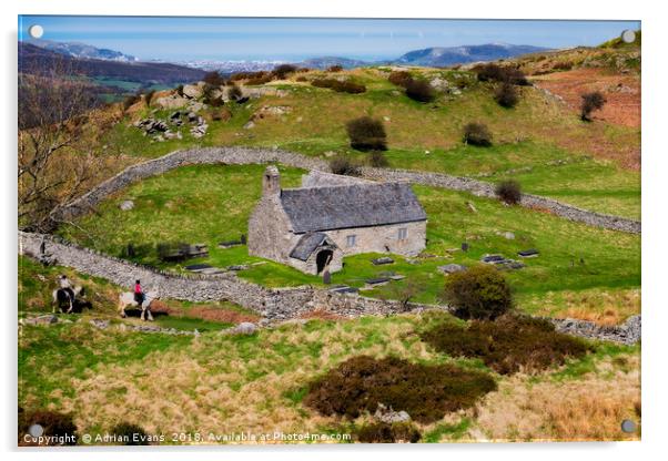 St Celynnin’s old church, Llangelynnin Acrylic by Adrian Evans