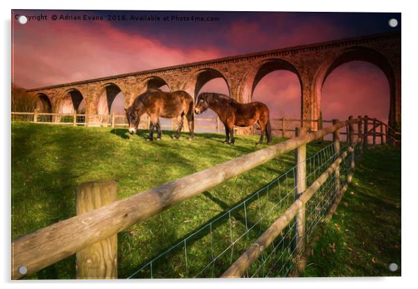 Cefn Viaduct Horses at Sunset Acrylic by Adrian Evans