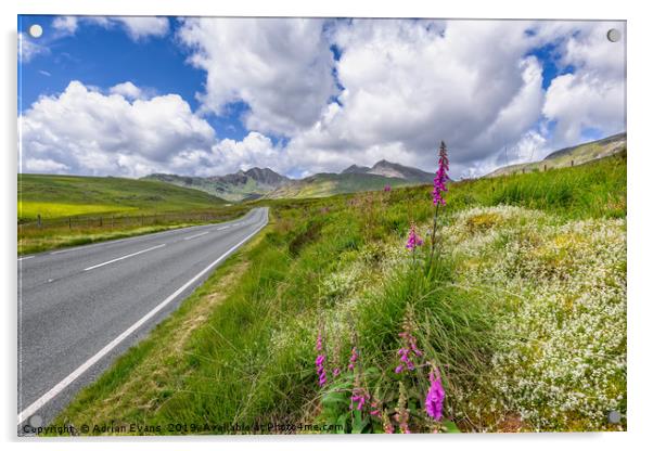 Road To Snowdon Mountain Acrylic by Adrian Evans