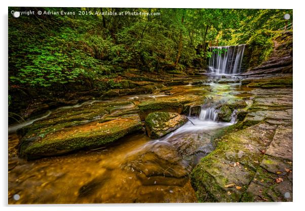 Nant Mill Falls Wales Acrylic by Adrian Evans