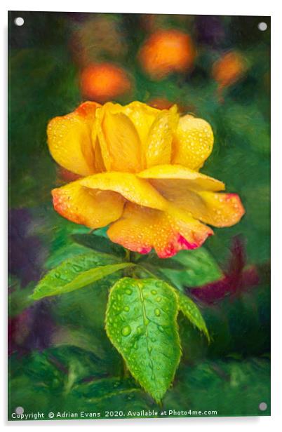 Yellow Rose Art Acrylic by Adrian Evans