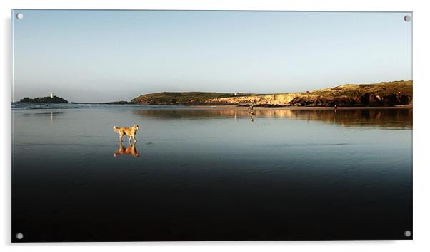 Reflections on Godrevy beach Acrylic by Gary Pearson
