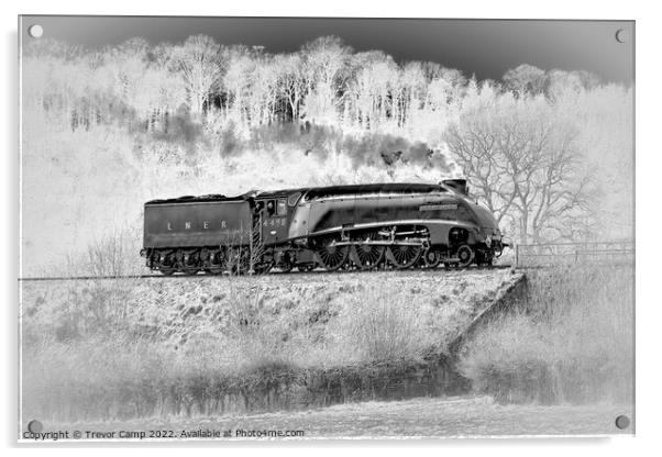 Sir Nigel Gresley on Severn Valley Railway Acrylic by Trevor Camp
