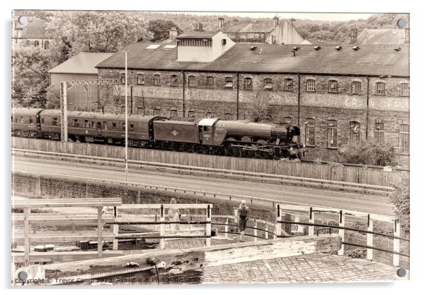 Steam Romance: Flying Scotsman Journey Acrylic by Trevor Camp