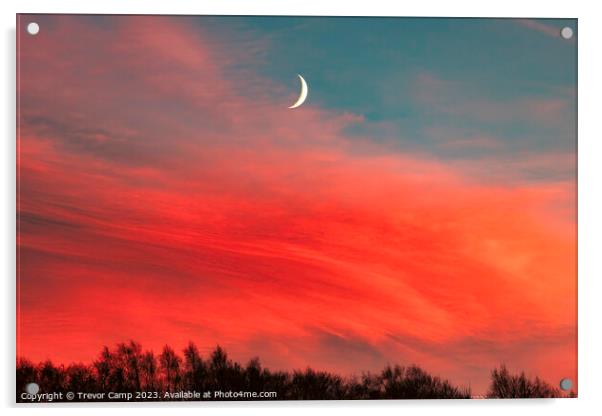Moonlit Sunset Acrylic by Trevor Camp
