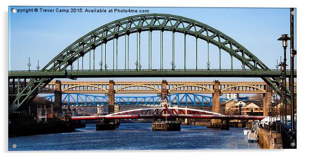 Six Bridges Across The Tyne Acrylic by Trevor Camp