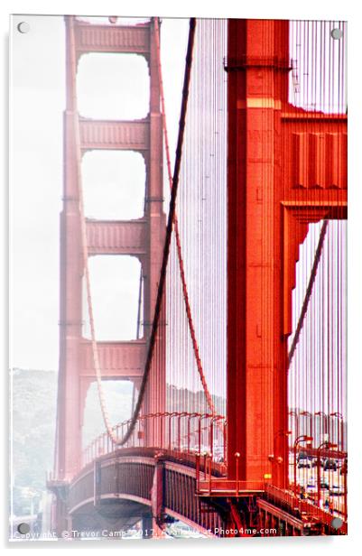 Golden Gate-01 Acrylic by Trevor Camp