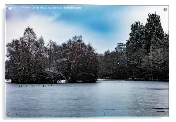 Frozen Coppice Pond - 02 Acrylic by Trevor Camp