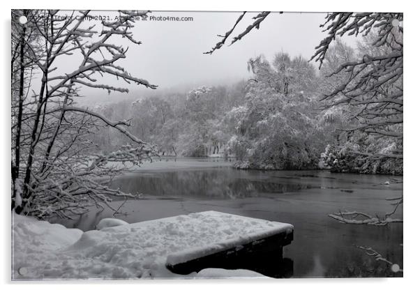 Coppice Pond Snow - 04 Acrylic by Trevor Camp