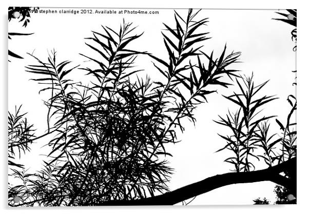 Tree branch silhouette Acrylic by stephen clarridge
