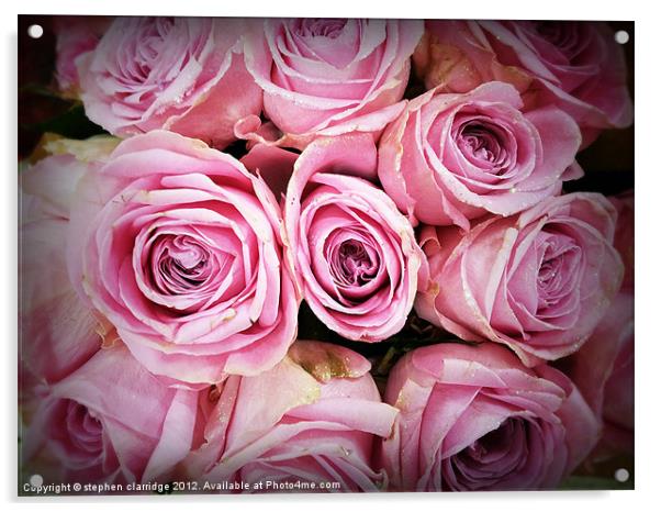 Pink roses with gold glitter Acrylic by stephen clarridge