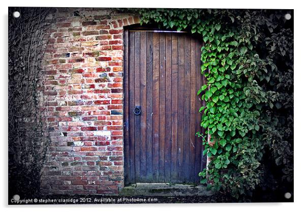 Old door with ivy Acrylic by stephen clarridge