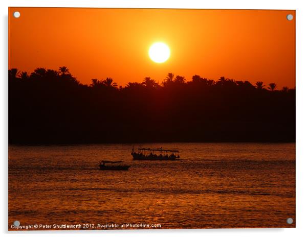 The Nile Sunset Acrylic by Peter Shuttleworth