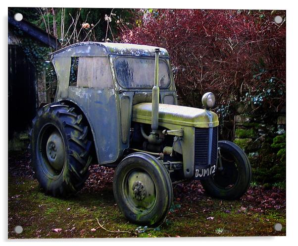 Disused tractor Acrylic by David Worthington
