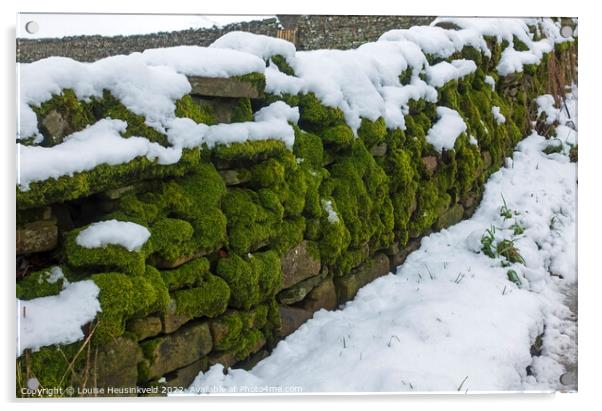 Moss covered dry stone wall in Yorkshire Dales National Park Acrylic by Louise Heusinkveld