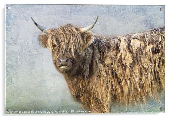 Bad Hair Day Acrylic by Louise Heusinkveld