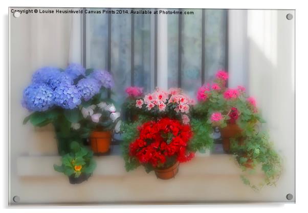 Flowers on a Windowsill Acrylic by Louise Heusinkveld
