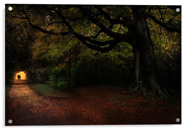 Autumn stroll Acrylic by Robert Fielding