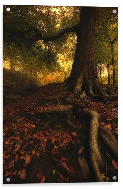 Autumn mood Acrylic by Robert Fielding