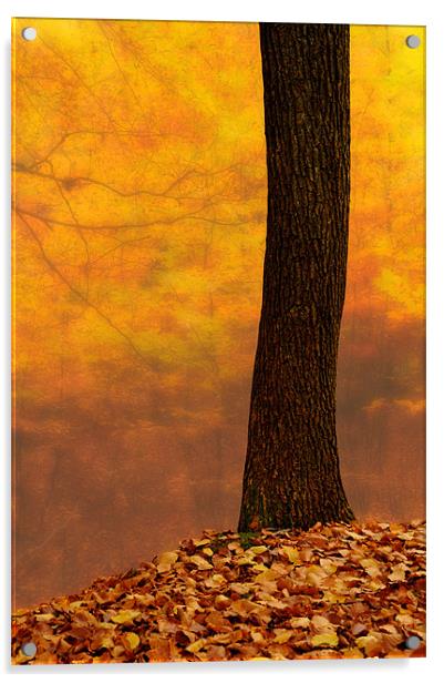 Autumn blur abstract Acrylic by Robert Fielding