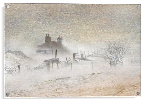 A winters blizard Acrylic by Robert Fielding