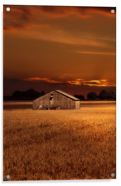 The field barn Acrylic by Robert Fielding
