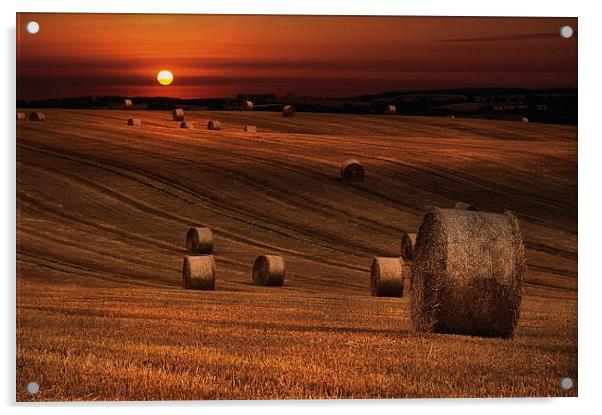 Harvest sunset Acrylic by Robert Fielding