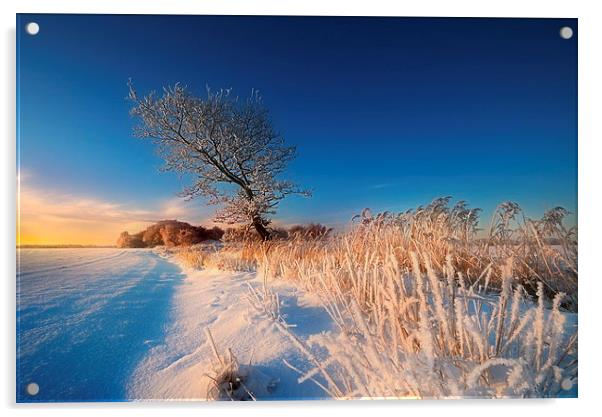 A winters morning Acrylic by Robert Fielding