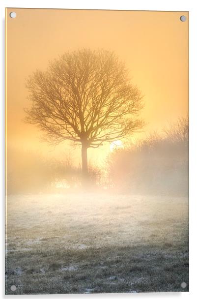 Misty sunrise  Acrylic by Robert Fielding
