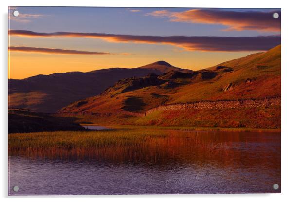 Alcock tarn Acrylic by Robert Fielding