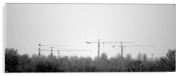 Four Cranes Acrylic by John Boekee