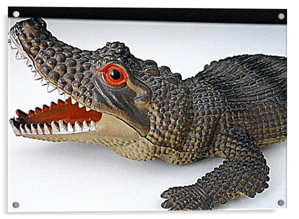 alligator scaler Acrylic by Brian Thomas Devine