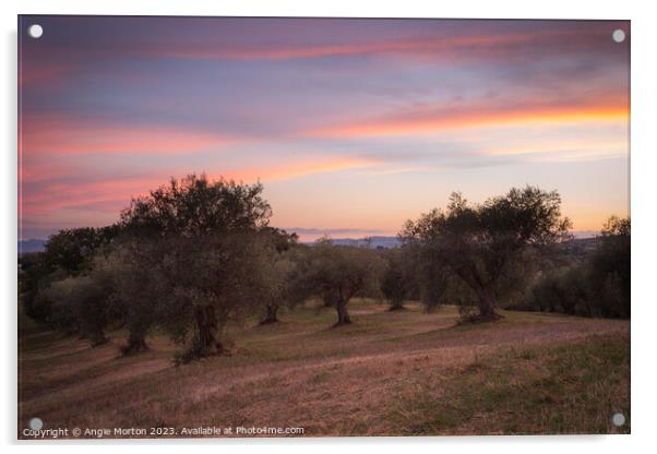 Sunset Sky Tuscany Acrylic by Angie Morton