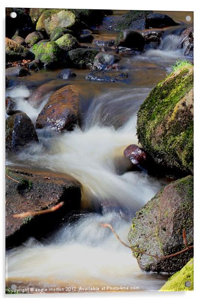 Smooth Water at Padley Gorge Acrylic by Angie Morton